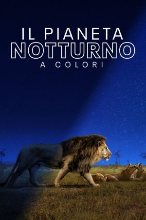Il pianeta notturno a colori