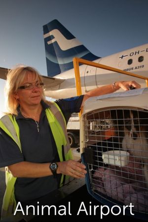 Airport security: animali streaming ita